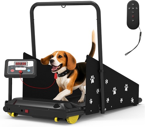 Dog treadmill for - small, &