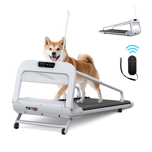New quiet smart - smart, pet
